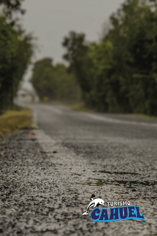 Inner Coast of Chiloé: Road and Sea. - Price and value: is $106 per person fair for this day?