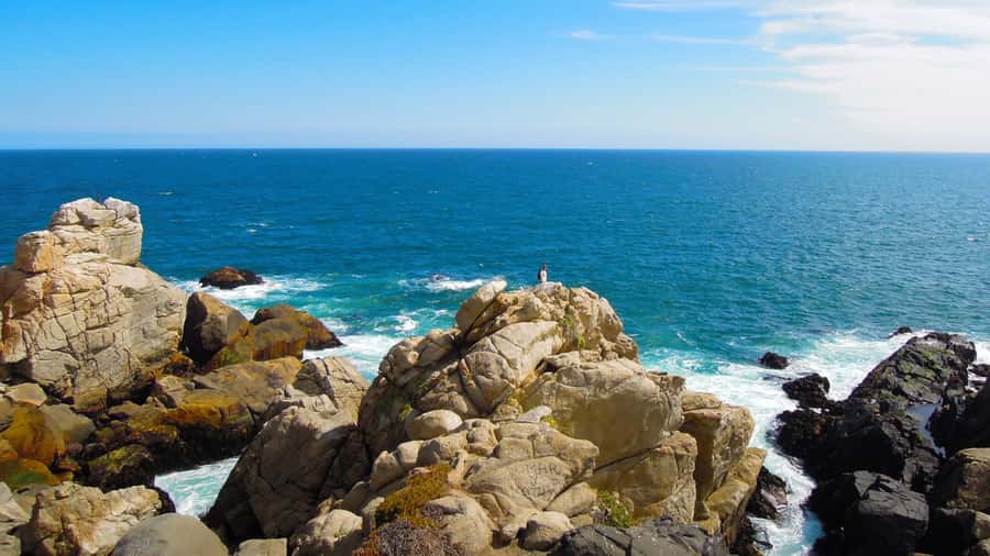 ISLA NEGRA AND ALGARROBO WITH VINICOLA UNDURRAGA - TOUR : CHILE - Valparaiso Region in one day: the tour’s real promise