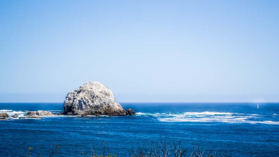 ISLA NEGRA AND ALGARROBO WITH VINICOLA UNDURRAGA - TOUR : CHILE - What the guide experience can look like (and how to manage it)