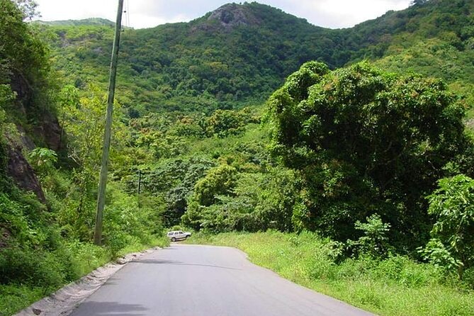 Island Safari 4x4 Discovery Tour from St John's - The beach picnic lunch: a real included perk