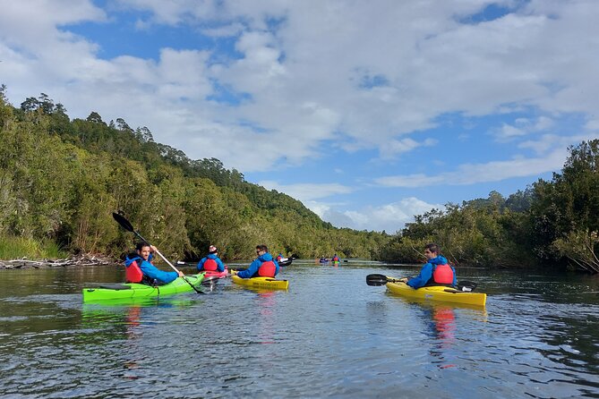 Kayak through the Sunken Forest of the Maullín River - Key highlights before you go