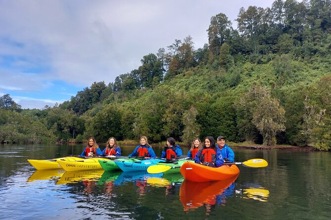 Kayak through the Sunken Forest of the Maullín River - Kayaking Chile’s Maullín River sunken forest, what to expect