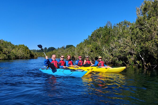 Kayak through the Sunken Forest of the Maullín River - Stop 1: biodiversity viewing and bird spotting from the river