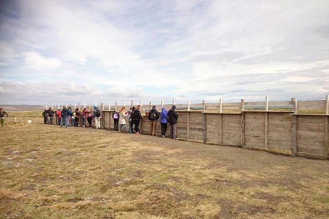 King Penguin Nature Reserve - Tierra del Fuego Island - Stop 1: Estancia San Gregorio, history you can stand in