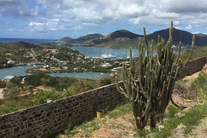 Luxury Island Platinum Tour - The drive through rainforest and volcanic terrain (and why Fig Tree Drive matters)