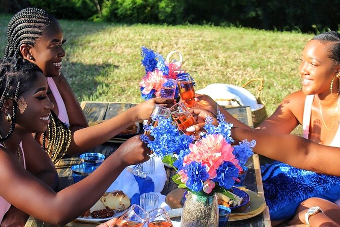 Luxury Private Picnic with Caribbean Cuisine - Price of $250 per person: where the value is hiding