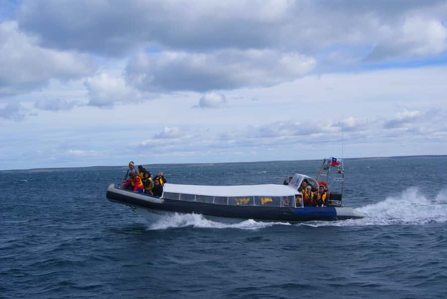 Magdalena Island Penguin Tour by Boat from Punta Arenas - Penguin viewing: how to get great shots while staying respectful