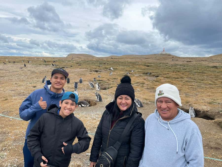 Magdalena Island: Walk with the penguins - Penguins and other birds: what you will notice once you stop walking