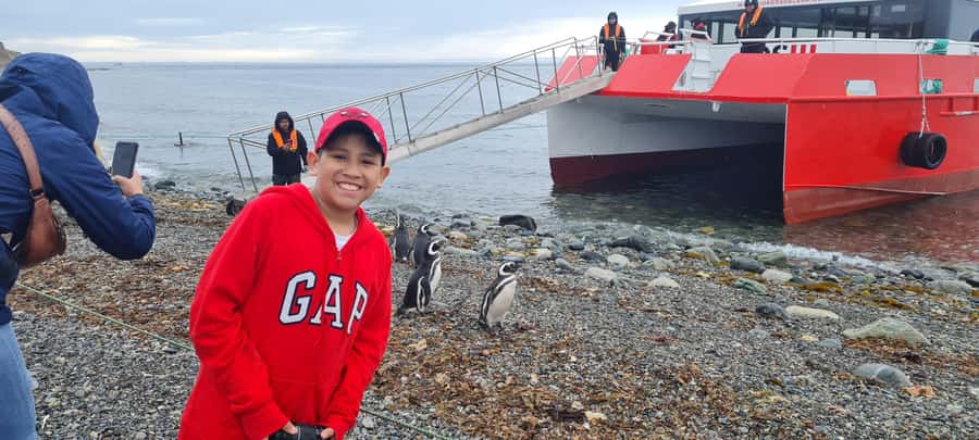 Magdalena Island: Walk with the penguins - Timing and pacing, including the 12:30 and 18:30 departures