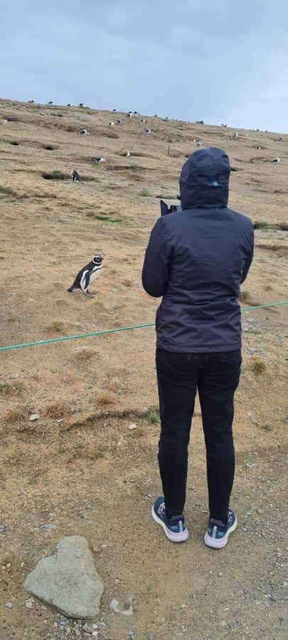 Magdalena Island: Walk with the penguins - FAQ