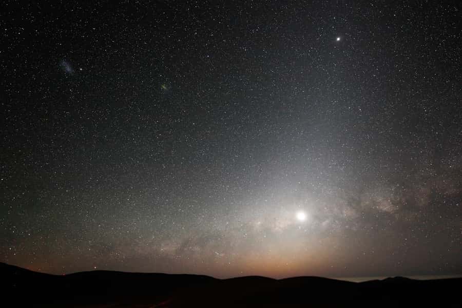 Milky Way Sanctuary Stargazing Tour at Pangue Observatory - The Vicuña stop, and why you should take it seriously