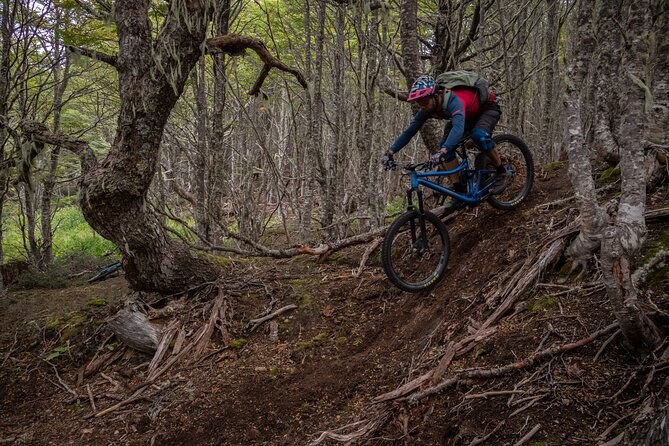 Mountain Bike Adventure in Punta Arenas - Key things to know before you ride