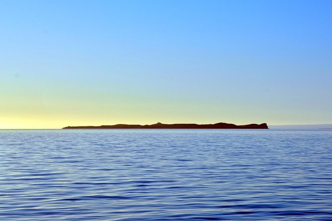 Navigation Magdalena Island and Marta - The Isla Magdalena penguin walk: what your guide actually helps you notice