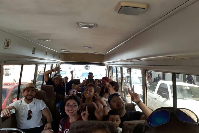 North Coast Tour - Getting around in comfort: AC minibus plus small-group energy