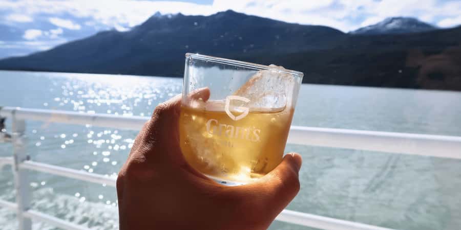 P. Natales: Balmaceda & Serrano Glaciers with Lunch & Whisky - Cruising the Ultima Esperanza Fjord, where wildlife loves the boat