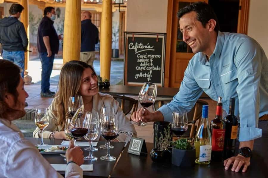 Palmilla: Wine and Flavors Tour - Palmilla Wine and Flavors at MontGras: the quick, smart way to taste Chile