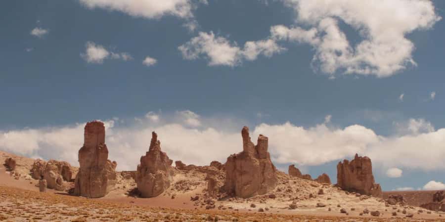 Piedras Rojas, Altiplanics Lagoons & Salar Full-Day Tour - Key things I’d focus on before you go