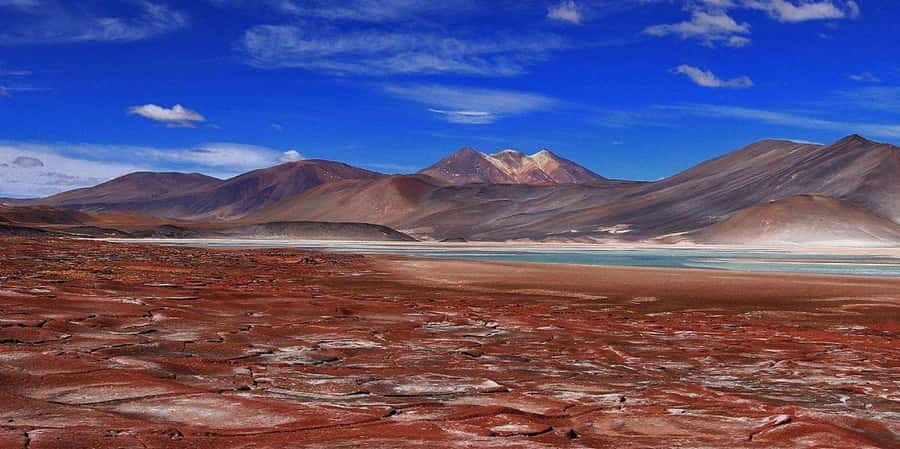 Piedras Rojas, Altiplanics Lagoons & Salar Full-Day Tour - Miscanti and Miñique Lagoons: breakfast with rare quiet