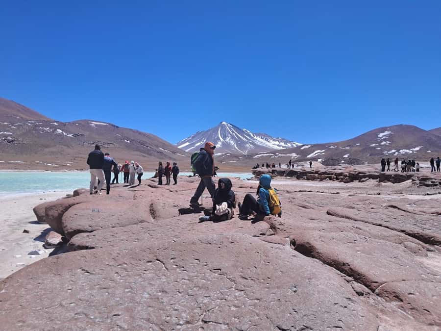 Piedras Rojas, Altiplanics Lagoons & Salar Full-Day Tour - Toconao break and photo stop: a worthwhile change of pace