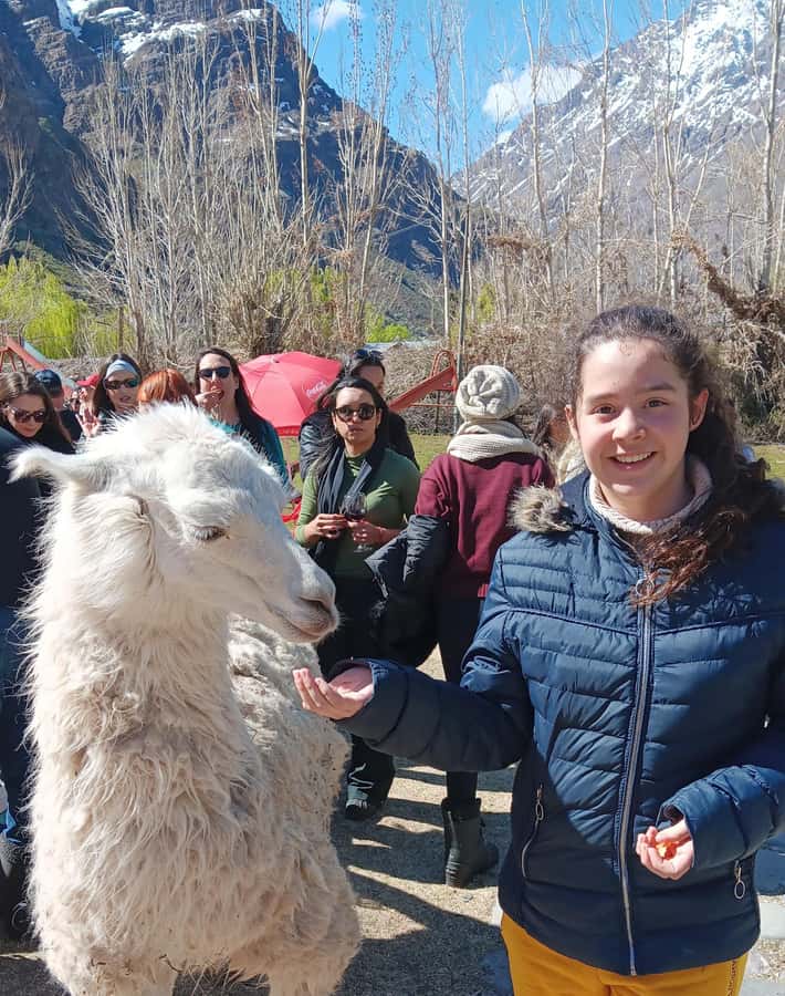 Portillo + Laguna del Inca with picnic - Key Things You Should Know Before You Go
