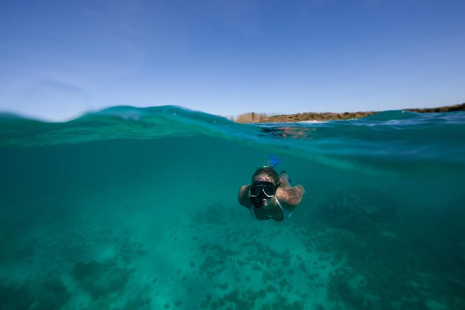 Power 360 Sightseeing and Snorkel Cruise Antigua - Snorkeling at the reef stop: what to expect in real life