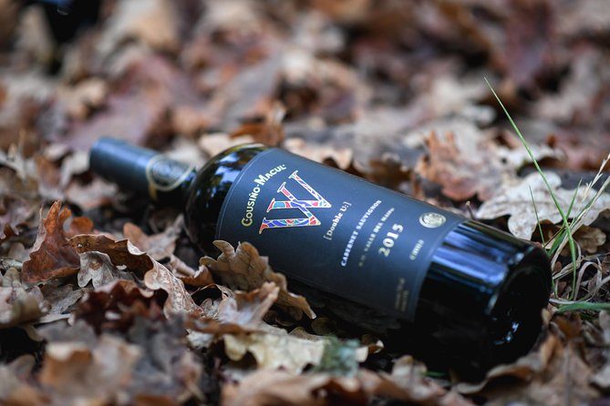 "Premium Wine Tour" Viña Cousiño Macul Official english - Key highlights before you go
