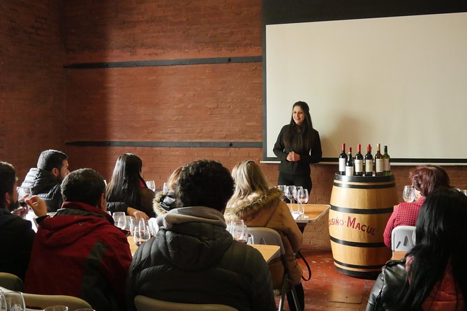 "Premium Wine Tour" Viña Cousiño Macul Official english - The pacing of the visit: how you fit vineyard time into 1 hour 45 minutes