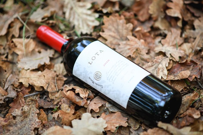 "Premium Wine Tour" Viña Cousiño Macul Official english - Three high-quality wines plus snacks: what you’ll actually taste