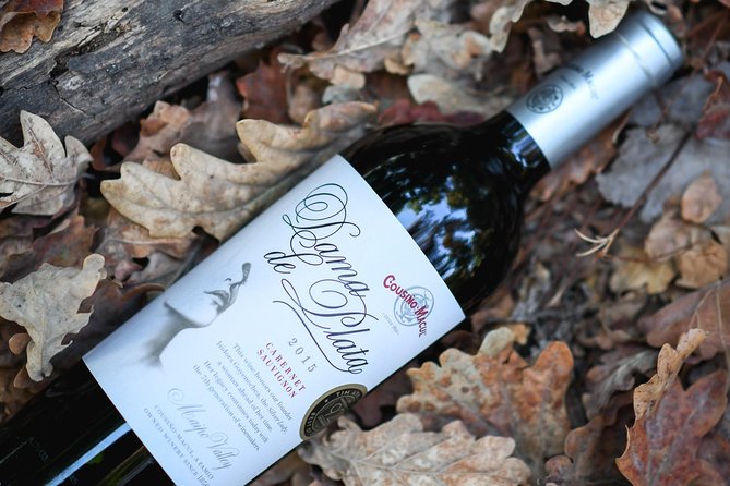 "Premium Wine Tour" Viña Cousiño Macul Official english - Views, walking, and the best time to breathe between sips