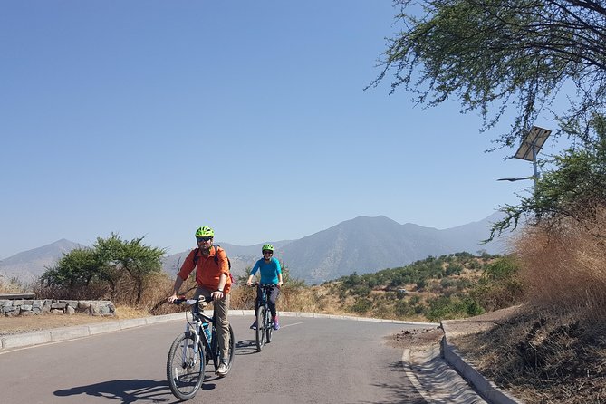 Private Full-Day Bike Tour of Santiago Cultural 5-6 hrs - La Moneda and Constitution Square: government power in street-level form