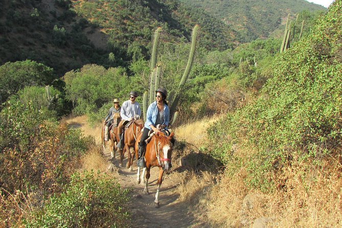 Private Horseback Adventure in the Andes, with Picnic & Wine - Key highlights worth planning around