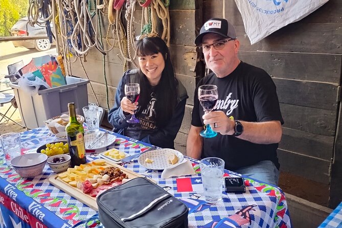 Private Horseback Adventure in the Andes, with Picnic & Wine - Private Andes horseback time, without the crowds from Santiago