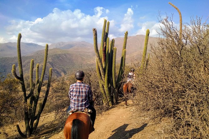 Private Horseback Adventure in the Andes, with Picnic & Wine - The arriero ranch stop, coffee break, and why it works