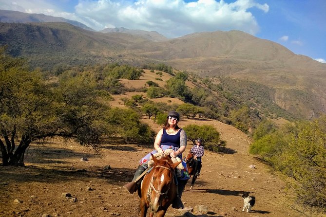 Private Horseback Adventure in the Andes, with Picnic & Wine - Tips for first-time riders who want a smooth day