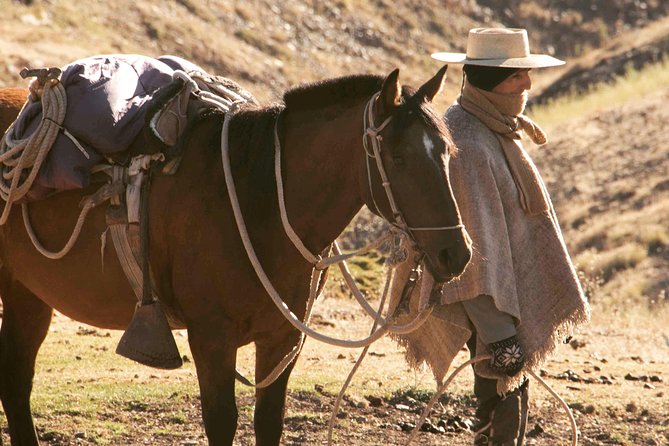 Private Horseback Adventure in the Andes, with Picnic & Wine - Weather, timing, and the sunset option in summer