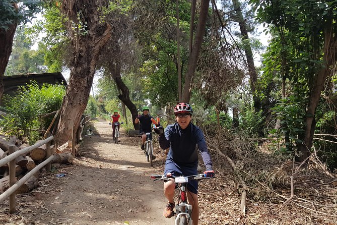 Private San Cristobal Hill Mountain Bike Tour - Parque Metropolitano Des Santiago: Mirador Bellavista, Then Narrow Trail Riding