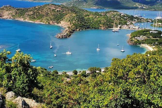 Private Snorkeling and Sightseeing Tour of Antigua - What you might spot underwater: turtles, octopus, fish, and wreck details
