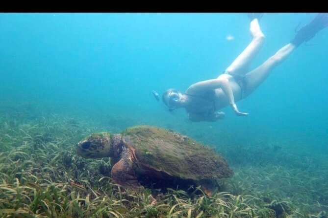 Private Snorkeling and Sightseeing Tour of Antigua - Galleon Beach shore snorkeling: calm water, real shipwreck hunting