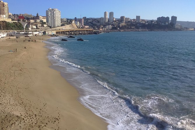 Private Valparaíso & Viña del Mar Day Trip with Boutique Winery - How the Private Car, Driver, and Your Guide Set the Pace