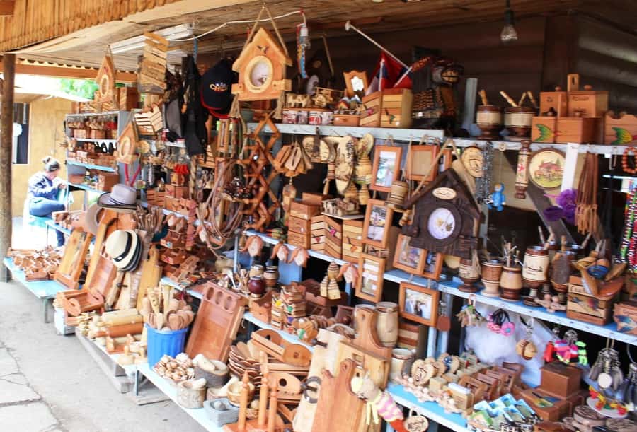 Pucón and Villarrica: Guided Tour with Hotel Pickup - Why This Half-Day Feels Worth It