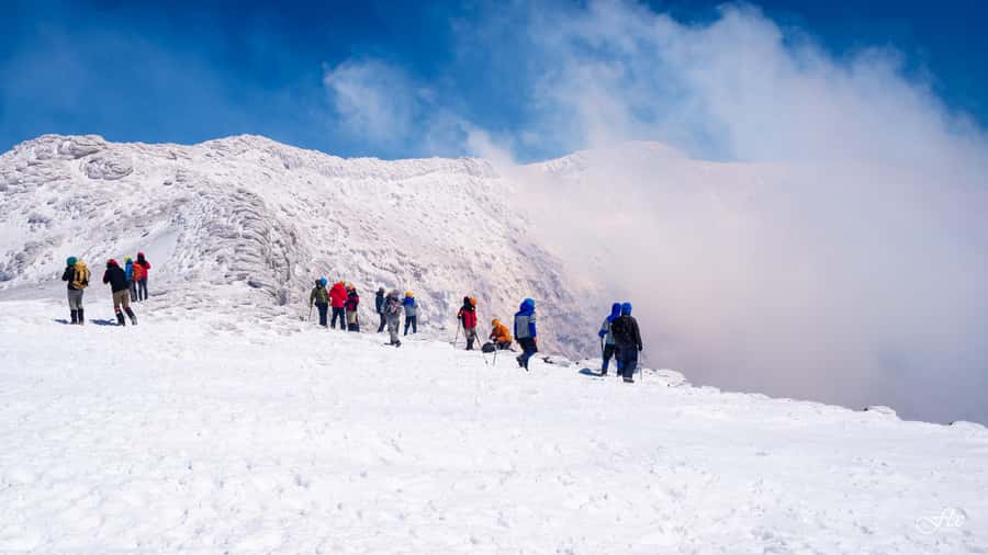 Pucón: Ascent to Villarrica Volcano - Price and Value: What You Pay For Beyond the View