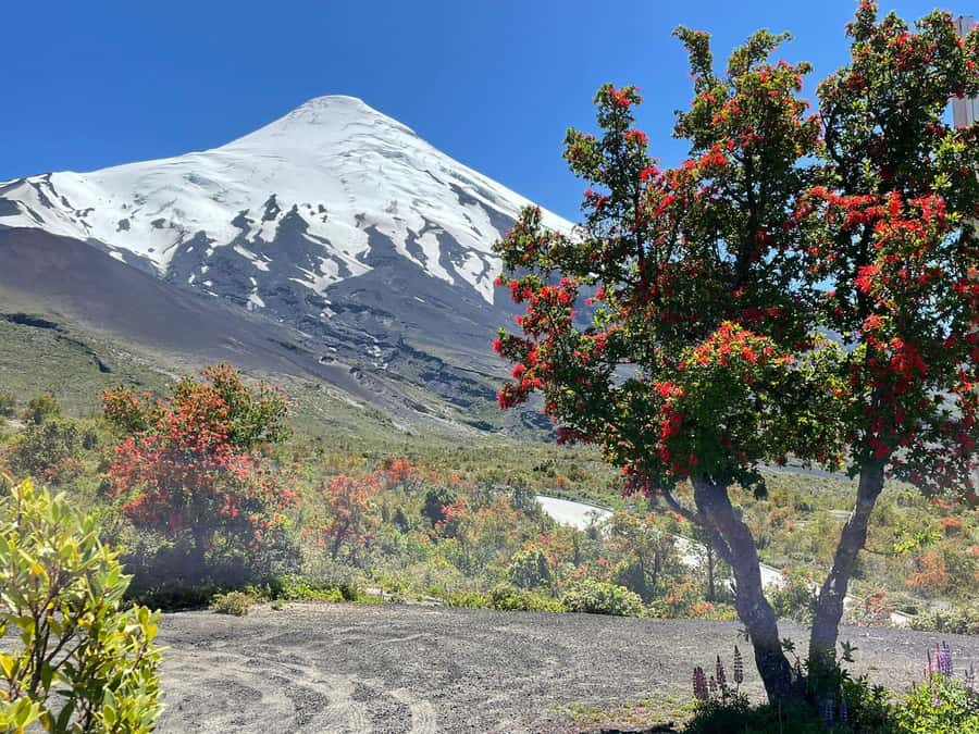 Puerto Montt: Osorno Volcano Tour Shore Tour in Private - What a private Osorno shore tour feels like in 6 hours