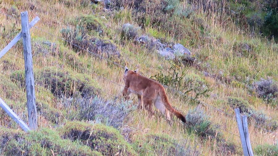 Puerto Natales: Base Torres Small Group Trekking - Who should book this, and who should skip it