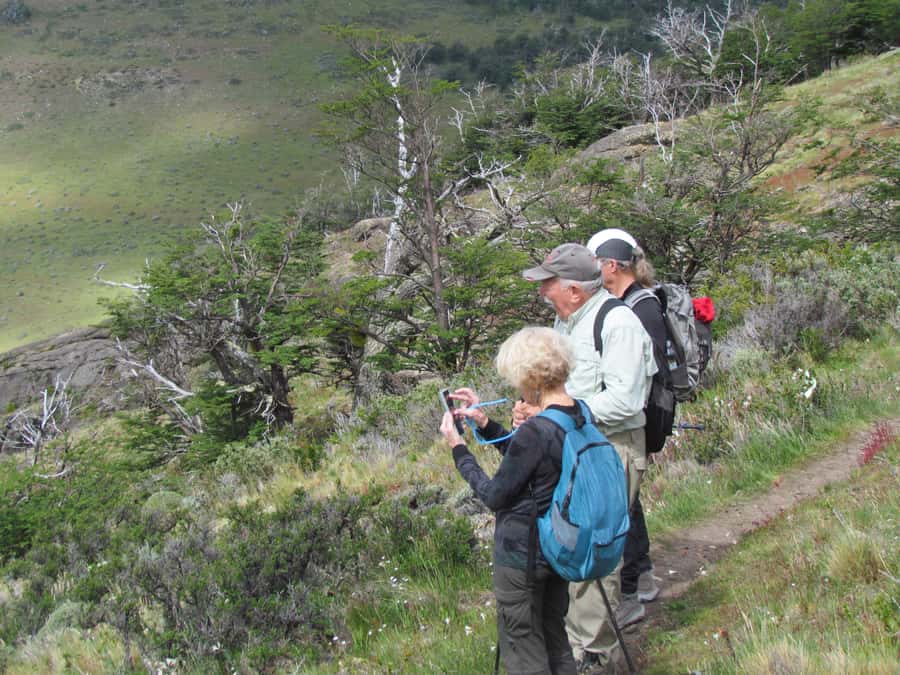 Puerto Natales: Cerro Benitez Half-Day Hike with Condors - Who This Private Cerro Benitez Hike Fits (and Who Should Skip)