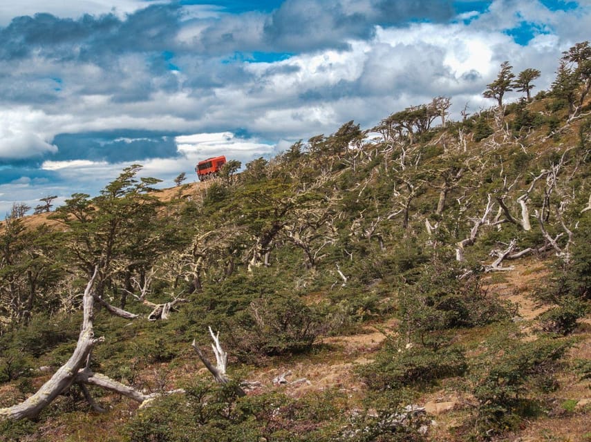 Puerto Natales: Cerro Dorotea 8x8 Tour with Panoramic Views - Native forest walk: a calmer pace and a viewpoint twist