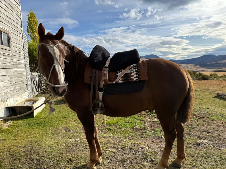 Puerto Natales: Full Day Horse Riding to the Mountains - Key points to know before you go