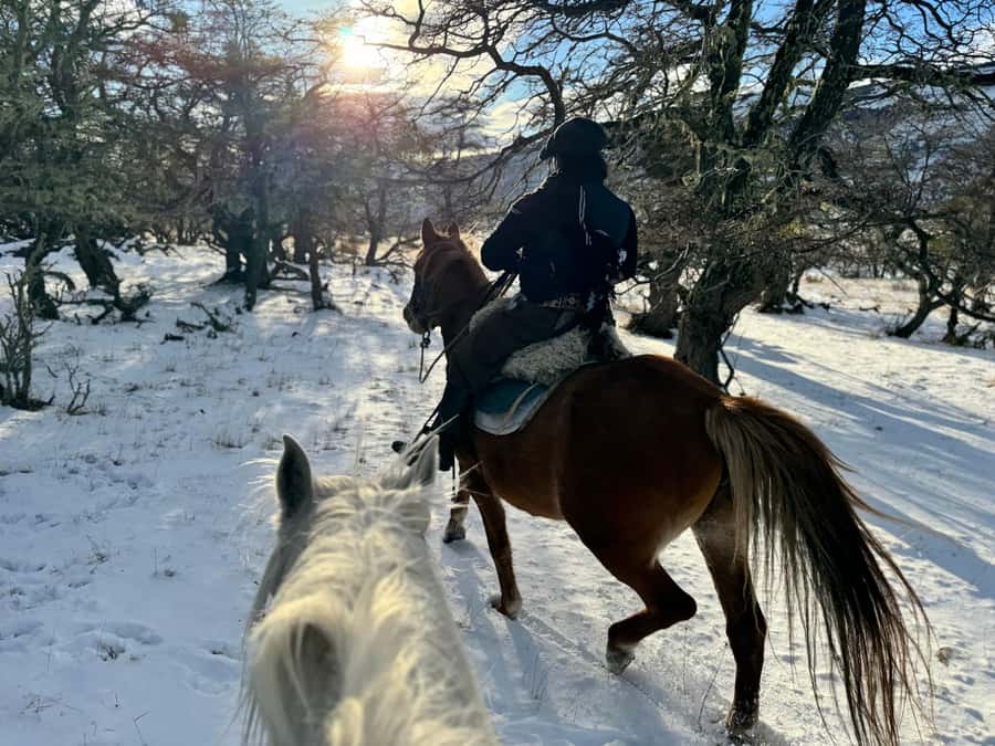 Puerto Natales: Full Day Horse Riding to the Mountains - Horsework First: Why This Ride Feels Different