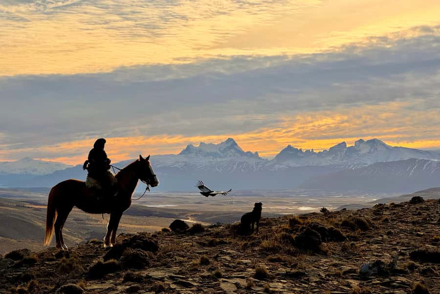 Puerto Natales: Full Day Horse Riding to the Mountains - Lunch Break Outdoors: A Real Reset, Not a Token Meal