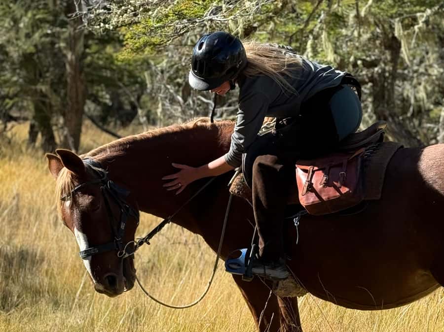 Puerto Natales: Full Day Horse Riding to the Mountains - Mountain Top Views: Paine Massif From Far Away