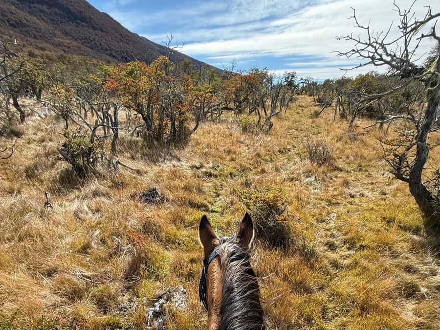 Puerto Natales: Full Day Horse Riding to the Mountains - Optional Mindfulness: Reflection Without the Yoga Syllabus